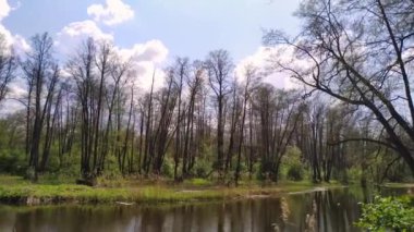 Bulutlu bir gökyüzünün altında ormanlı güzel bir bahar nehri.