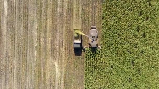 Colheita de milho com máquinas de tiro aéreo de cima para baixo — Vídeo de Stock