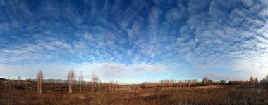  Rus gökyüzü ağaçlar sonbahar panorama 
