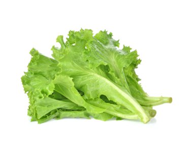 tereyağı baş marul, gevrek kafa, üzerinde beyaz backgro izole buzdağı