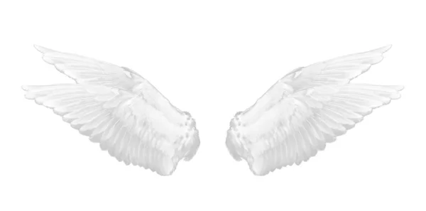 Weißer Flügel isoliert auf weißem Hintergrund — Stockfoto