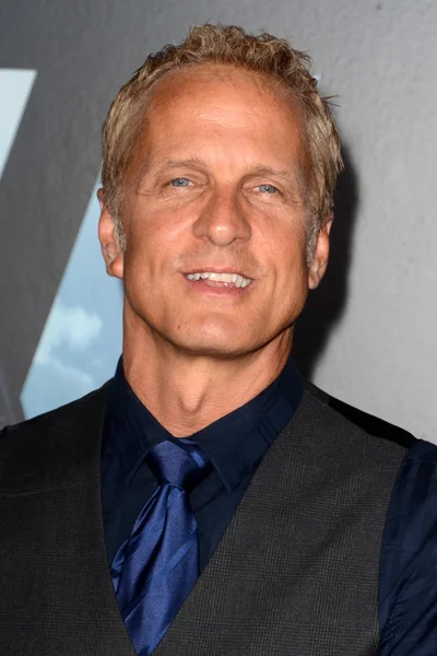 Actor Patrick Fabian — Foto de Stock