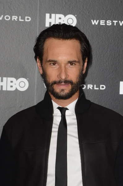 Aktor Rodrigo Santoro — Zdjęcie stockowe