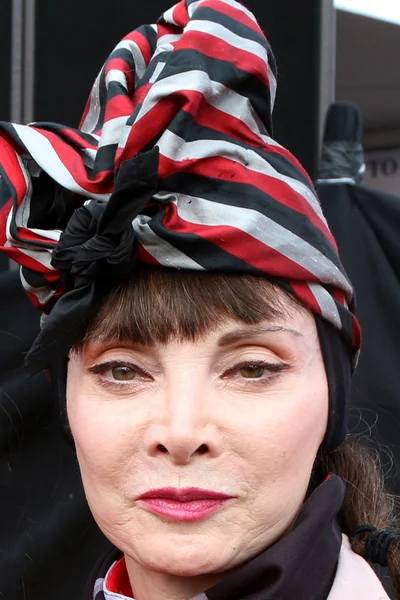 Zanger Toni Basil — Stockfoto