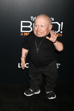 Aktör Verne Troyer