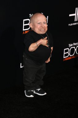Aktör Verne Troyer