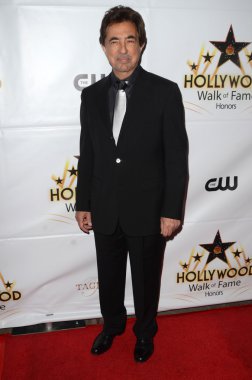aktör Joe Mantegna 