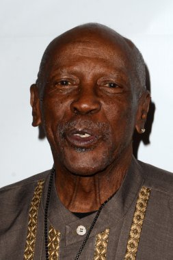 Louis Gossett Jr 