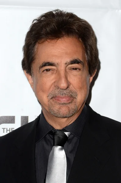 Actor Joe Mantegna — Stock Photo, Image