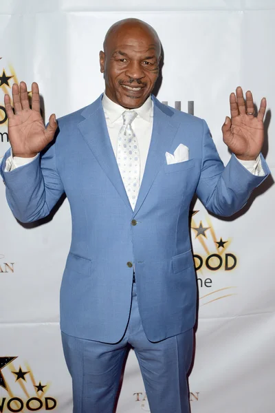 Тайсон, Боксер Майк Стоковая Картинка