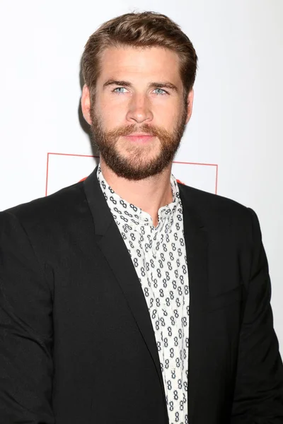 Attore Liam Hemsworth — Foto Stock