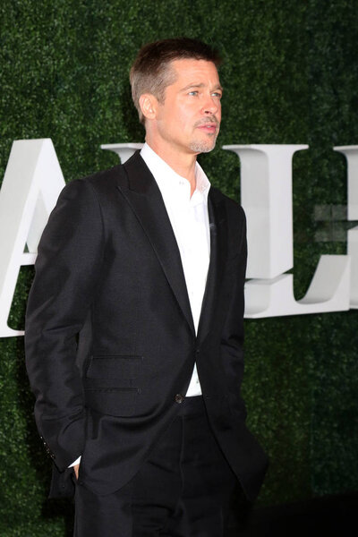 actor Brad Pitt 