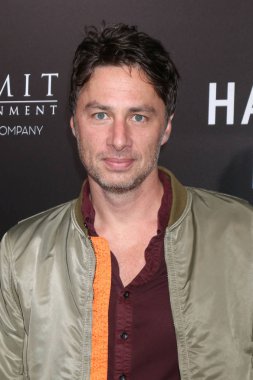 aktör Zach Braff 