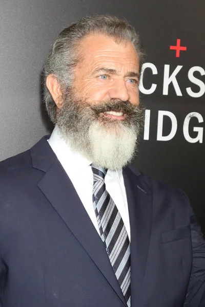 Acteur Mel Gibson — Photo