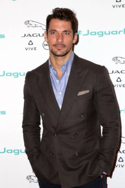 aktör David Gandy