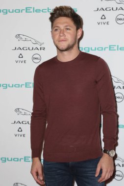 aktör Niall Horan
