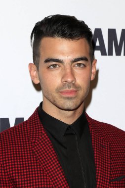 Şarkıcı Joe Jonas