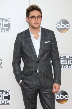 şarkıcı Niall Horan