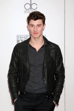 şarkıcı Shawn Mendes