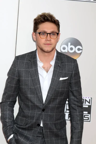 Singer Niall Horan — Stock Photo, Image