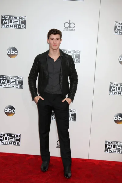 Sängerin Shawn Mendes — Stockfoto