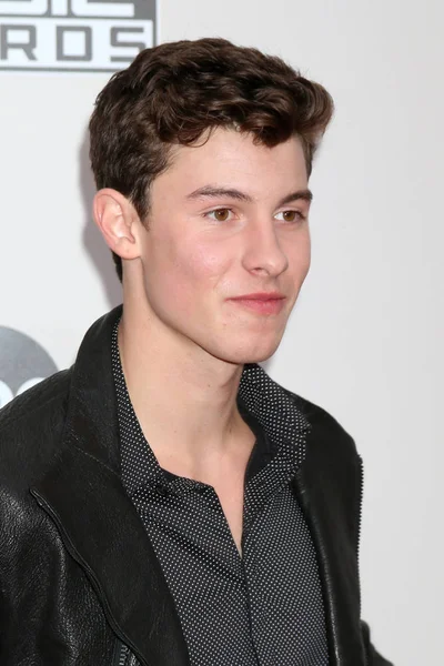 Énekes Shawn Mendes — Stock Fotó