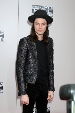 şarkıcı James Körfezi