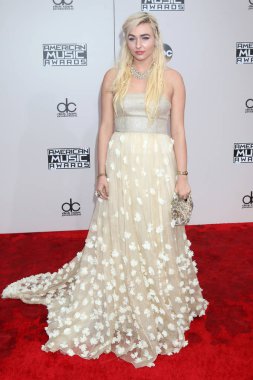 Sanatçı Maty Noyes