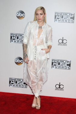 şarkıcı Skylar gri