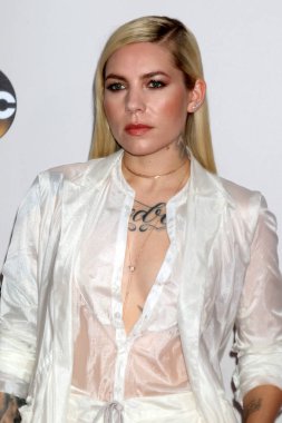 şarkıcı Skylar gri