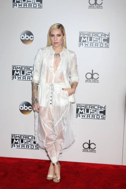 şarkıcı Skylar gri