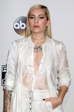 şarkıcı Skylar gri