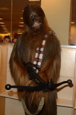 Chewbacca, kitap 