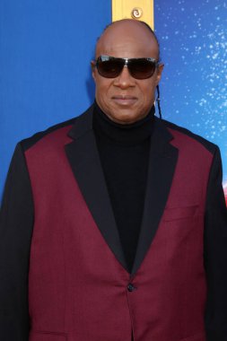 şarkıcı Stevie Wonder