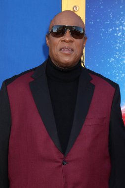 şarkıcı Stevie Wonder
