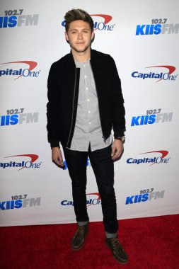 şarkıcı Niall Horan 