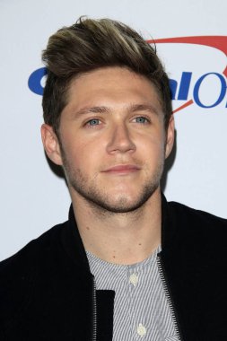 şarkıcı Niall Horan 