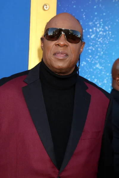 Singer Stevie Wonder — Stock Photo, Image