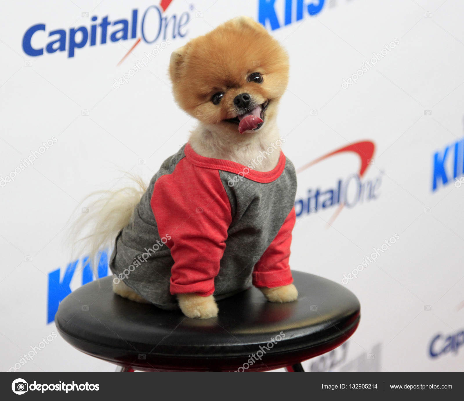 jiff shirt jiff shirt