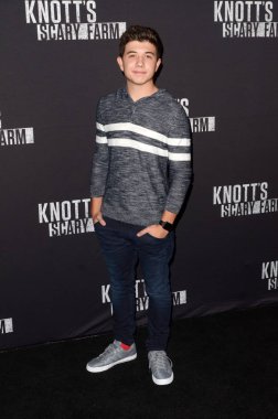 Bradley Steven Perry 