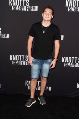 aktör Lance Stewart