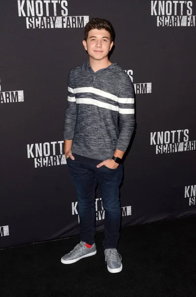 Bradley Steven Perry — Stockfoto