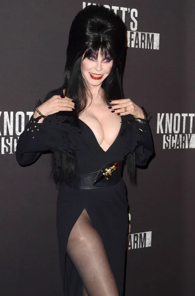 Elvira, aka Cassandra Peterson — Zdjęcie stockowe