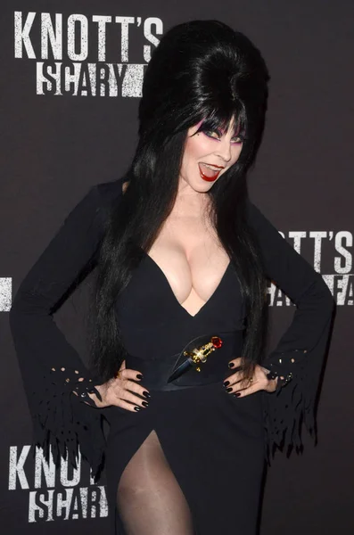Elvira, aka Cassandra Peterson — Stockfoto