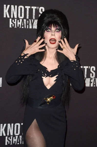 Elvira, alias Cassandra Peterson —  Fotos de Stock