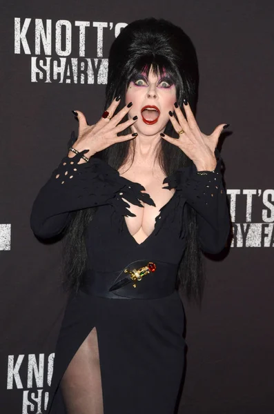 Elvira, aka Cassandra Peterson — Stok fotoğraf