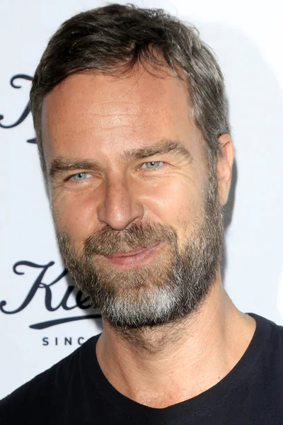 Aktör Jr Bourne — Stok fotoğraf