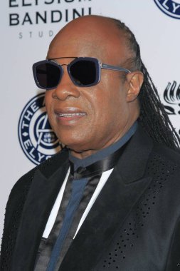  şarkıcı Stevie Wonder