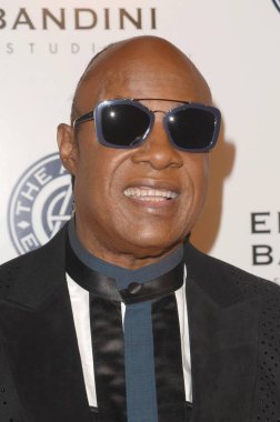  şarkıcı Stevie Wonder
