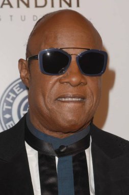  şarkıcı Stevie Wonder